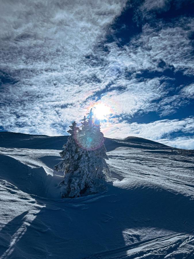 Hotel Linzerhaus Saalbach-Hinterglemm Exteriér fotografie